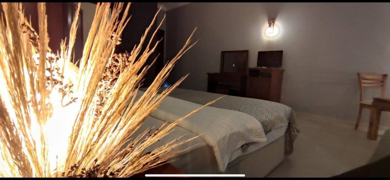Bacahan Hotel Altınoluk Extérieur photo